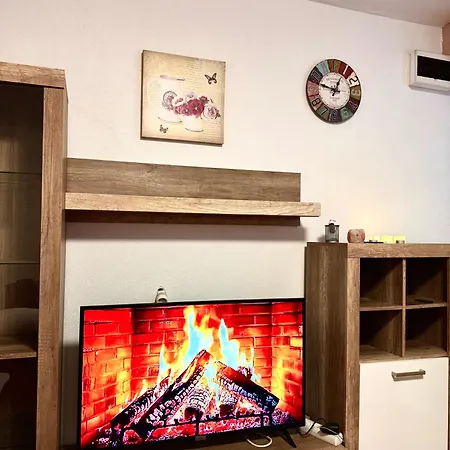 Apartment Ruzic Delnice
